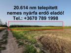 3193844